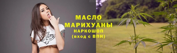 шишки Каменногорск