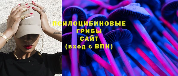 прущая мука Абаза