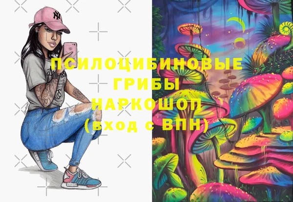 прущая мука Абаза