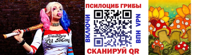 где продают наркотики  Ильский  Псилоцибиновые грибы GOLDEN TEACHER 